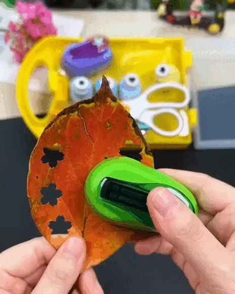 Creative Kids DIY Craft Set - Edição Limitada — detalhes do produto
